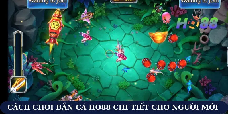 Cách chơi bắn cá Ho88 chi tiết cho người mới