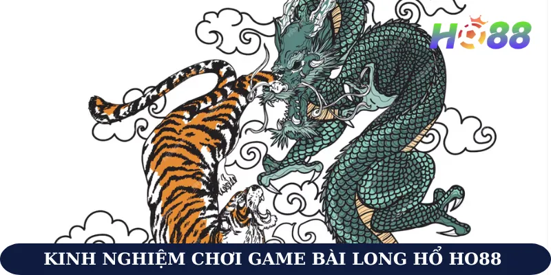 cách chơi game bài long hổ Ho88