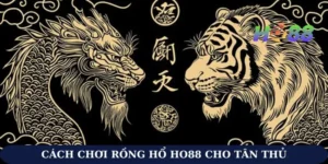 Cách Chơi Rồng Hổ Ho88 Cho Tân Thủ Để Đặt Đâu Thắng Đó