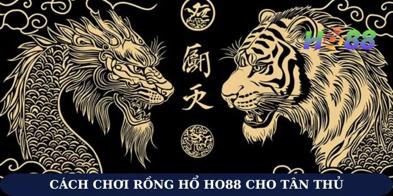 Cách Chơi Rồng Hổ Ho88 Cho Tân Thủ Để Đặt Đâu Thắng Đó