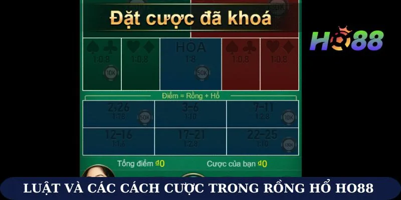 Nắm vững luật và các cách cược phổ biến trong Rồng Hổ Ho88